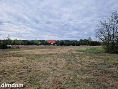 Działka z WZ | 2977 m² | gm. Zgierz - 4