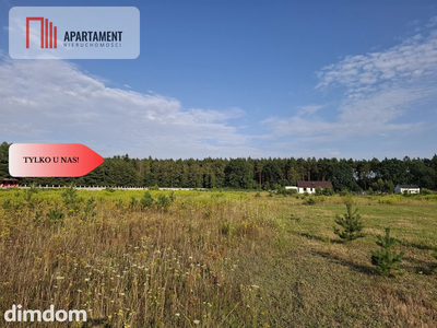 Działka Wałdowo Królewskie 1563m przy ścianie lasu - 5