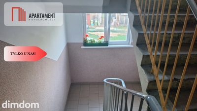 MIESZKANIE 27 m² + DZIAŁKI! - 2