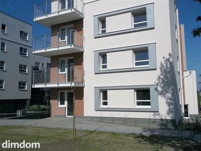 Lokal na wynajem