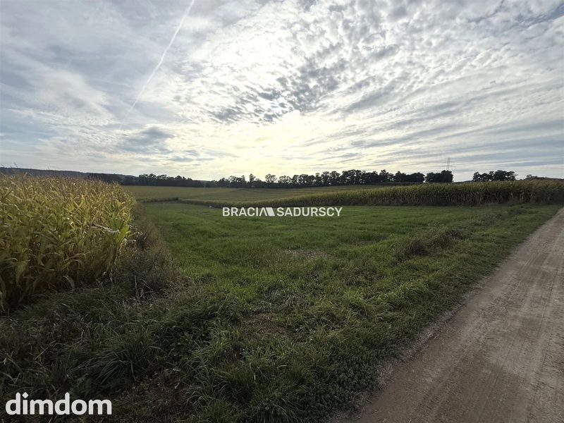 Widokowa działka Karniowice gmina zabierzów, 605m2 - dd_c43ea97e_zs_BS4-GS-317646_1.jpg