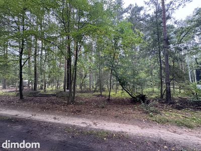 Twoje prywatne grzyby Działka 1993 m² Nowy Adamów - 5