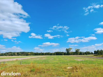 1,6 HA NATURY. 202 M² POTENCJAŁU | Czepów, Uniejów - 3