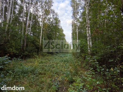 Działka budowlana (MN) 4511 m² | Wycinki Osowskie