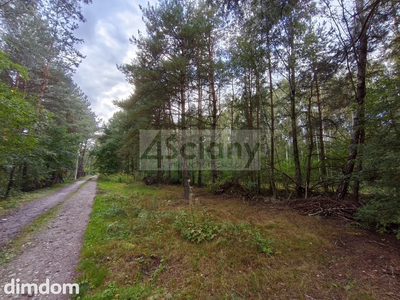 Działka budowlana (MN) 4511 m² | Wycinki Osowskie - 5