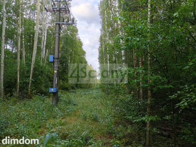 Inwestycyjna działka 9031 m², Wycinki Osowskie - 4