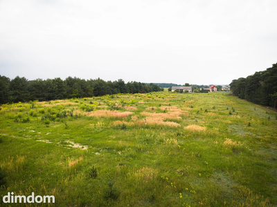Leśna oaza 1011 m² | Sokolniki-Parcela | MPZP - 4