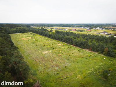Leśna oaza 1085 m² | Sokolniki-Parcela | MPZP - 4