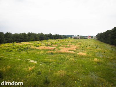 Leśna oaza 1085 m² | Sokolniki-Parcela | MPZP - 5