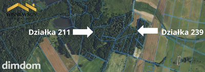 Las 1,67 ha – Dobry, gm. Godkowo