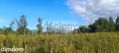 Do sprzedania działka budowlana o powierzchni 1800 m2 w Michałowicach Wieś. - 2