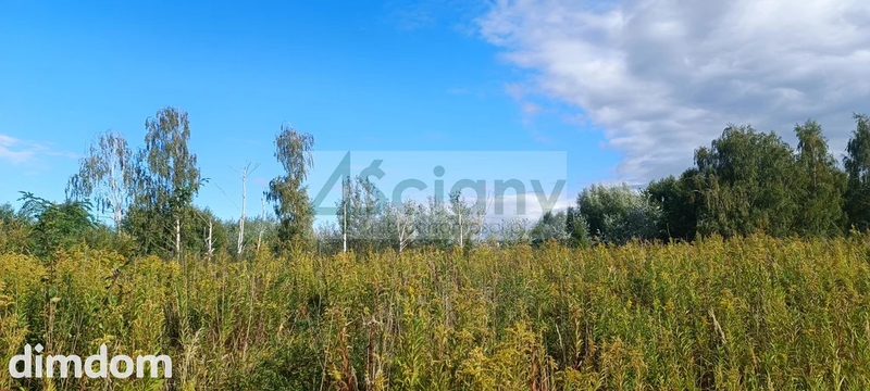 Do sprzedania działka budowlana o powierzchni 1800 m2 w Michałowicach Wieś. - 115528989.jpg