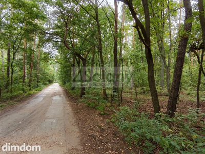 Działka budowlana1500 m² Ojrzanów - 2