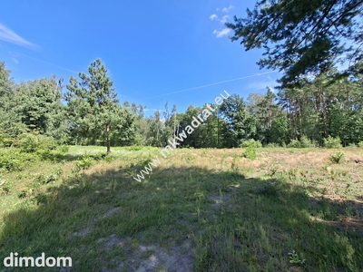 Działka przy lesie – natura, doskonała komunikacja - 4