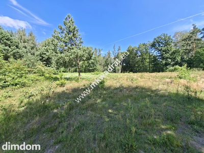 Działka przy lesie – natura, doskonała komunikacja - 3