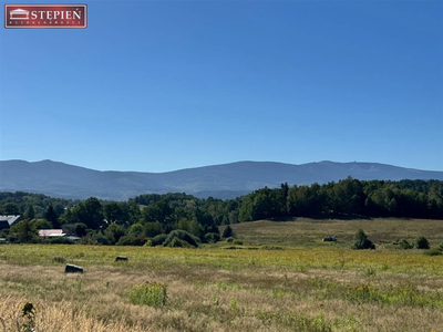 1,7 HA W STANISZOWIE | TEREN INWESTYCYJNY UZ.1