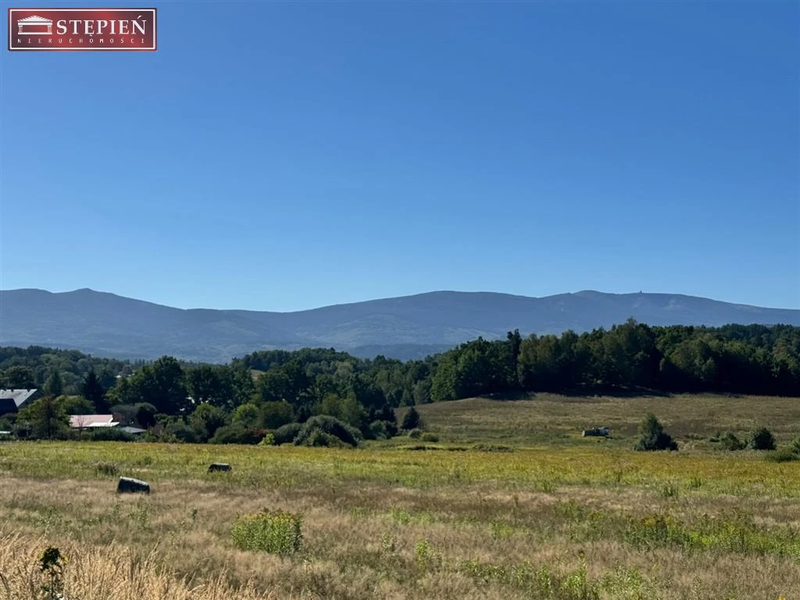 1,7 HA W STANISZOWIE | TEREN INWESTYCYJNY UZ.1 - dd_1aa802a1_zs_GS-29362_1.jpg