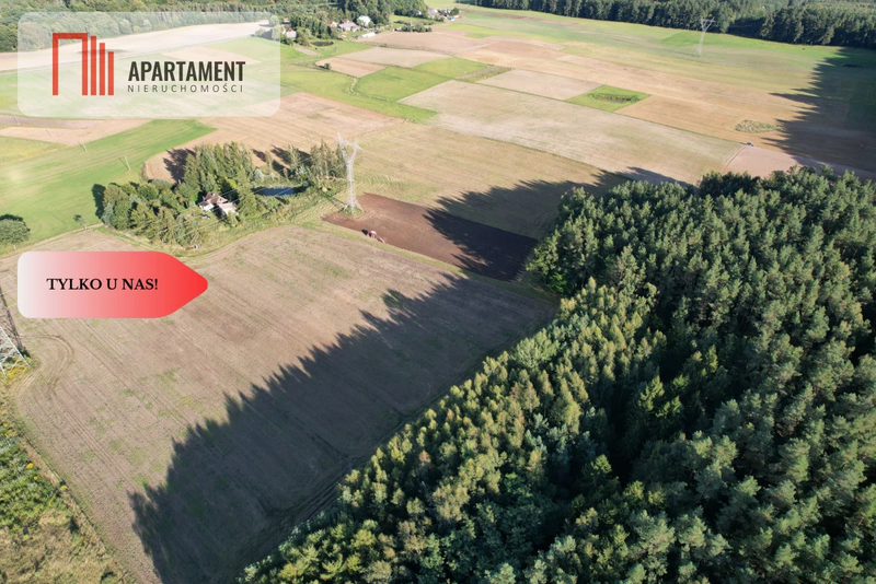 Siedlisko 11,75 ha z prywatnym lasem - dd_18eeaa1f_zs_926089_1.jpg