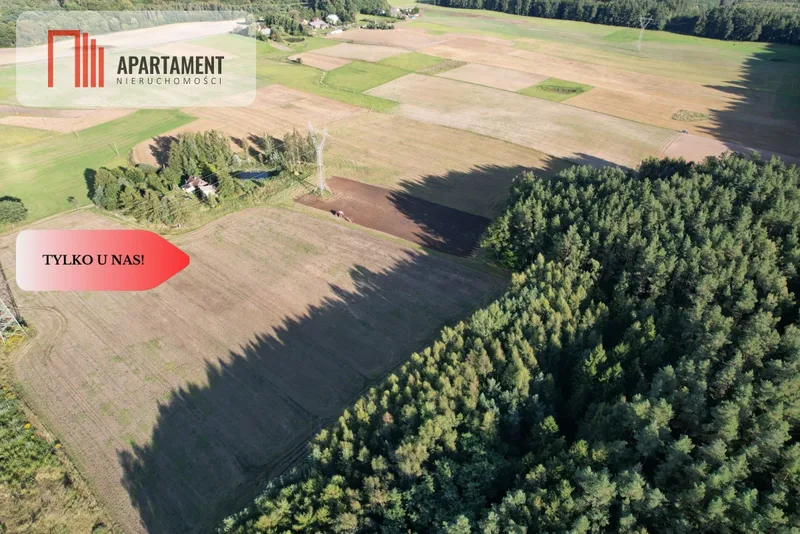 Siedlisko 11,75 ha z prywatnym lasem