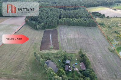 Siedlisko 11,75 ha z prywatnym lasem - 3