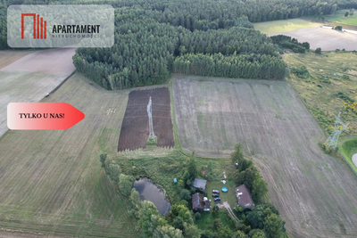 Siedlisko 11,75 ha z prywatnym lasem - 4