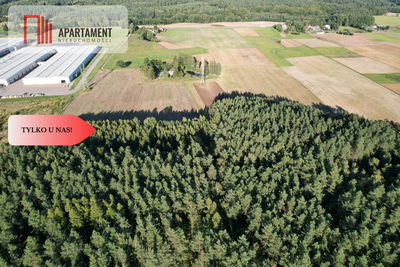 Siedlisko 11,75 ha z prywatnym lasem - 5
