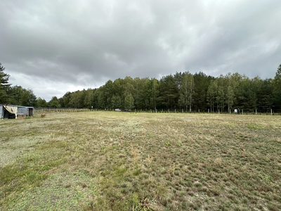 Działka 3400 m², las, zalew, ogrodzona - 5