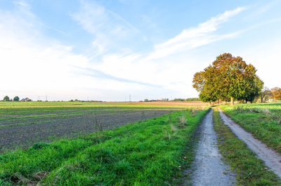 Działka z potencjałem – Sławno | Bobrowiczki - 3