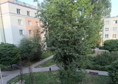 1-pokojowe mieszkanie na Ursusie - 3